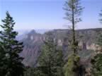 Hiking North Rim- Widforss Trail (6).jpg (92kb)